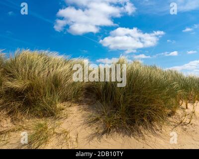 Dune di sabbia sulla spiaggia di Holkham Bay, nel nord del Norfolk Inghilterra UK una riserva naturale nazionale che ospita rare specie di flora e fauna. Foto Stock