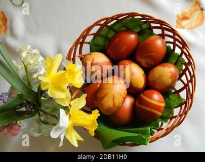 Uova di Pasqua, tinte con il colore naturale delle bucce di cipolla e decorate con piante diverse nel rispetto tradizionale serbo (foglia di fragola) Foto Stock