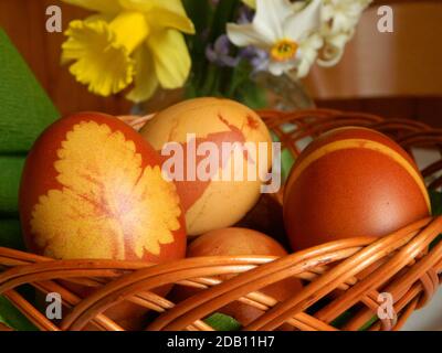 Uova di Pasqua, tinte con il colore naturale delle bucce di cipolla e decorate con piante diverse nel rispetto tradizionale serbo (foglia di fragola) Foto Stock