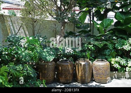 Vasetti d'acqua in terracotta smaltati in stile thailandese decorati in piante verdi giardino parco Foto Stock