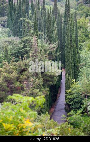 Il Giardino Botanico Nazionale della Georgia si trova a Tbilisi, Georgia, e occupa una superficie di 161 ettari. Foto Stock