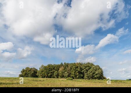 Immagine di un gruppo di alberi su un prato con cielo e nuvole sullo sfondo di una zona rurale in Baviera, Germania Foto Stock