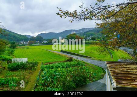 Vista dei campi e della campagna, in Shuzenji, Penisola di Izu, Giappone Foto Stock