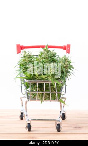 fiori di marijuana fresca nel carrello della spesa sul tavolo Foto Stock