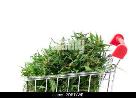 fiore di marijuana fresco nel carrello isolato su sfondo bianco Foto Stock
