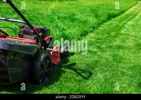 Tosaerba che taglia erba verde alta in cortile Foto Stock