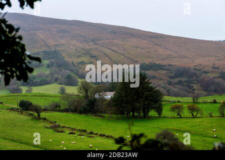 Ardara, Contea di Donegal, Irlanda, 16 novembre 2020. Meteo. Un giorno 'soft' che significa uno con pioggia frizzante in vernacolare locale su una piccola fattoria di pecore. Foto Stock