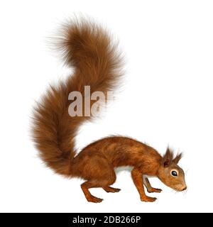 3D rendering di un Europeo scoiattolo rosso isolato su sfondo bianco Foto Stock