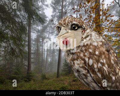 Ritratto di un gufo con un proteggi bocca contro l'infezione di fronte a una foresta nebbiosa Foto Stock