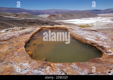 Geyser di Botijuela nella zona vulcanica Antofalla Puna de Atacama, Argentina. Antofalla si trova nel dipartimento Antofagasta de la Sierra del Foto Stock