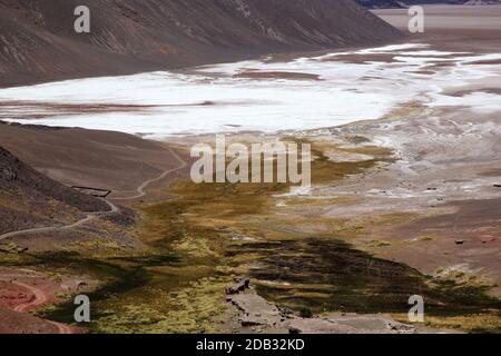 Salar di Antofalla vista dal geyser di Botijuela alla Puna de Atacama, Argentina. Antofalla si trova nel dipartimento di Antofagasta de la Sierra della t. Foto Stock