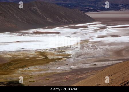 Salar di Antofalla vista dal geyser di Botijuela alla Puna de Atacama, Argentina. Antofalla si trova nel dipartimento di Antofagasta de la Sierra della t. Foto Stock