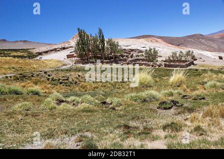 Casa vicino al Geyser di Botijuela nella zona vulcanica Antofalla Puna de Atacama, Argentina. Antofalla si trova nell'Antofagasta de la Sierra de Foto Stock