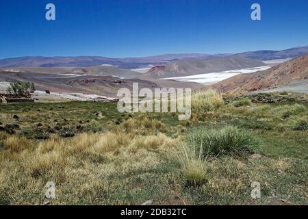 Salar di Antofalla vista dal geyser di Botijuela alla Puna de Atacama, Argentina. Antofalla si trova nel dipartimento di Antofagasta de la Sierra della t. Foto Stock