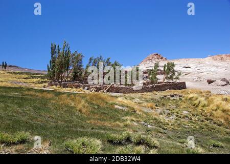 Casa vicino al Geyser di Botijuela nella zona vulcanica Antofalla Puna de Atacama, Argentina. Antofalla si trova nell'Antofagasta de la Sierra de Foto Stock