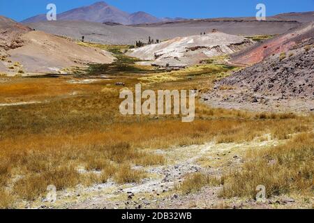 Paesaggio al Geyser di Botijuela nella zona vulcanica Antofalla Puna de Atacama, Argentina. Antofalla si trova nell'Antofagasta de la Sierra Foto Stock