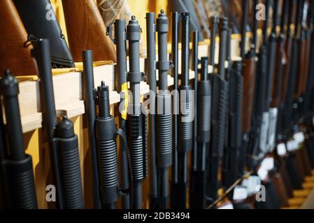 Fila di fucili in vetrina nel negozio di armi da fuoco closeup, nessuno. Euqipment per cacciatori in stand in deposito armi, caccia e tiro hobby sport Foto Stock