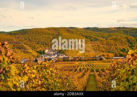 Beilstein piccolo villaggio sulla Mosella Foto Stock