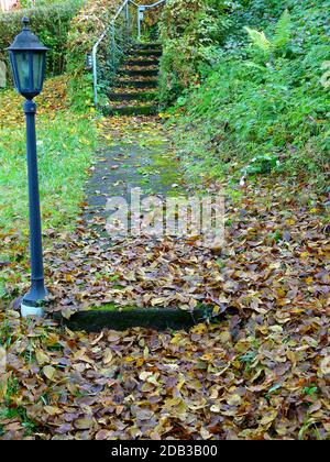 Percorso giardino pieno di foglie autunnali con scale sullo sfondo Foto Stock