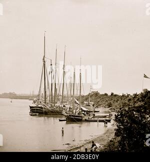 White House Landing, Va. Vista sul fiume, con navi di rifornimento. Foto Stock