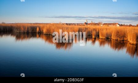 Cintura di canna vicino villaggio di Rust a Neusiedlersee Foto Stock