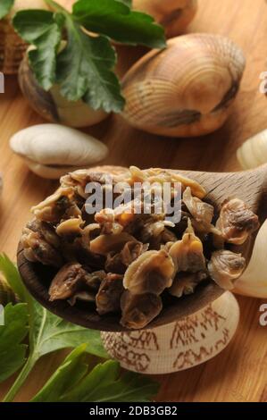 Primo piano di vongole sgusciate nel cucchiaio Foto Stock
