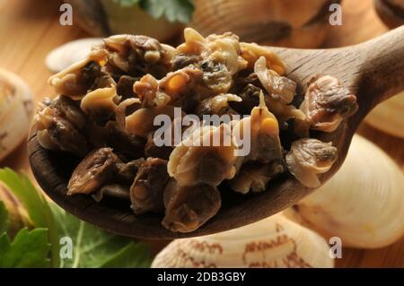 Primo piano di vongole sgusciate nel cucchiaio Foto Stock