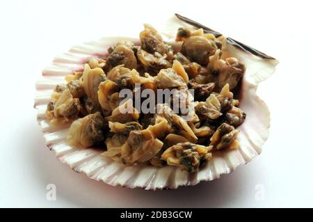 Primo piano di vongole sgusciate nel guscio del cuoio capelluto Foto Stock
