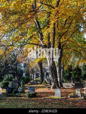 Friedhof Sophien ll,Mitte,Berlin Cimitero in autunno con tombe, tappeto di foglie marroni e filiage dorato sugli alberi Foto Stock