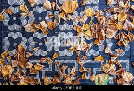 Friedhof Sophien ll, Mitte, Berlino Cimitero in autunno - foglie morte marrone su pavimento di tegole mosaico della tomba Foto Stock