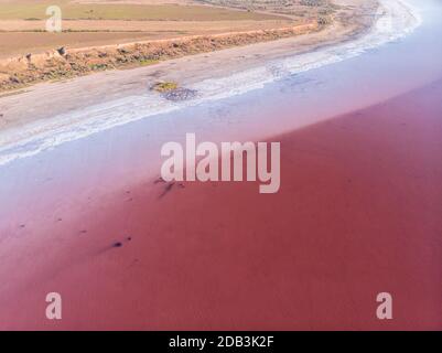 Saline bianche del Limano Rosso Kuyalnik in Ucraina, Odessa in estate Foto Stock