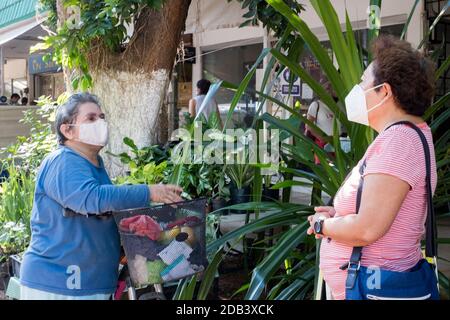 Donne messicane che discutono per strada durante il Covid-19 Pandemic , Merida messico Foto Stock