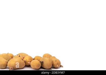 set di piantine di patate germogliate pronte per la piantagione - su sfondo bianco in studio Foto Stock