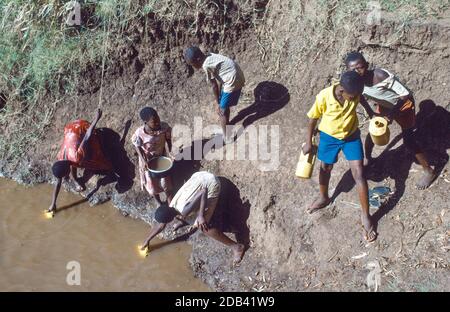 Pokoma bambini che raccolgono acqua non pulita dal fiume Tana, nr. Garsen, Contea di Tana River, Kenya Foto Stock