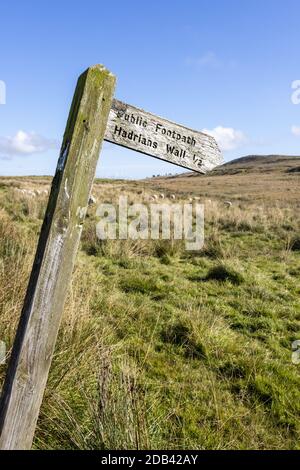 Un vecchio cartello in legno inclinabile che indica il Muro di Adriano vicino a Walltown Crags, Northumberland UK Foto Stock