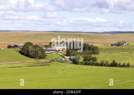 Le remote fattorie montane di Low Tipalt e Farglow sulle Pennine vicino a Greenhead, Northumberland UK Foto Stock