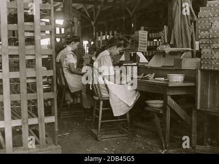 Ragazze che lavorano a Tampa, Florida, Box Factory. Ho visto 10 ragazzini e ragazze. Ha avuto la reputazione per l'occupazione dei giovani, ma il lavoro è ora rallentato. Foto Stock