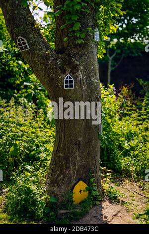 Fiabesca porte e finestre su albero nella foresta per i piccoli, Irlanda Foto Stock