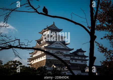 Il castello di Himeji chiamato l'Egret bianco o il castello dell'airone bianco, Himeji, Giappone. Patrimonio dell'umanità dell'UNESCO. Foto Stock