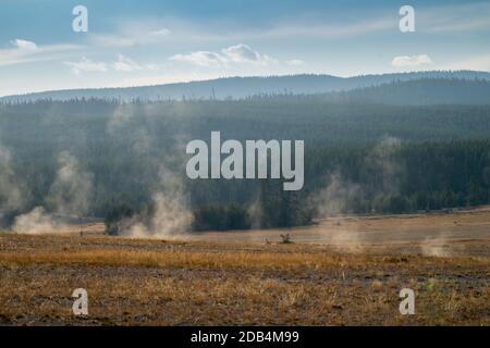 Il vapore sale dalle sorgenti termali calde nel Parco Nazionale di Yellowstone in le prime ore del mattino in autunno Foto Stock