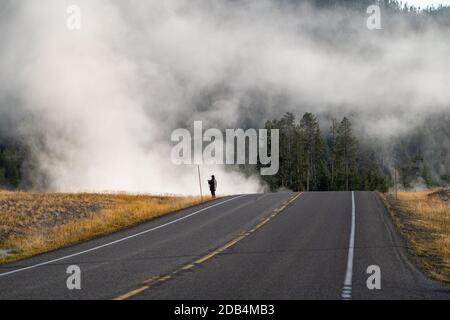 Il vapore sale dalle sorgenti termali calde nel Parco Nazionale di Yellowstone nelle prime ore del mattino in autunno, mentre un fotografo scatta foto vicino alla strada Foto Stock