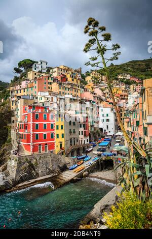 Case colorate del villaggio di Riomaggiore nelle cinque Terre Parco Nazionale in Italia Foto Stock