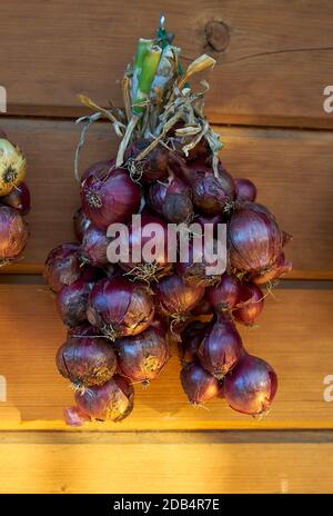 mazzo di cipolla rossa appeso al muro di legno Foto Stock