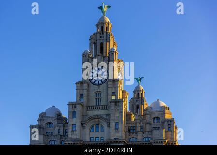L'edificio Royal Liver con i famosi uccelli del fegato. Foto Stock