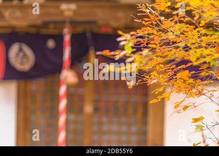 Il fogliame di autunno che si affaccia su un tempio giapponese Benzaiten nella foresta parc di Inokashira nella città di Kichijoji Foto Stock