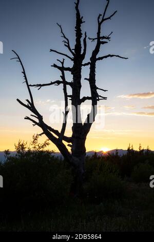 WA18127-00...WASHINGTON - Tramonto sulla catena montuosa Cascade vista da Cooper Mountain si trova sopra il lago Chelan nel Okanogan Wenatchee Natio Foto Stock