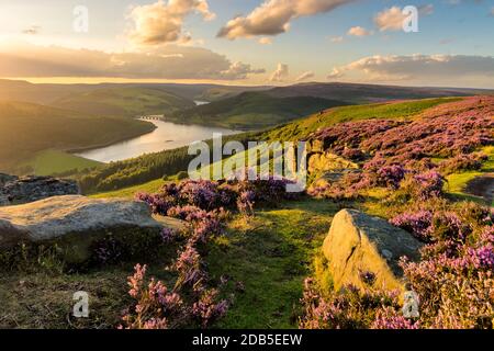 Bella luce serale in una serata estiva a Bamford Edge nel Peak District National Park. Foto Stock