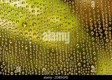 goccioline di acqua e condensa formate a causa dell'evaporazione sulla superficie di vetro o plastica Foto Stock