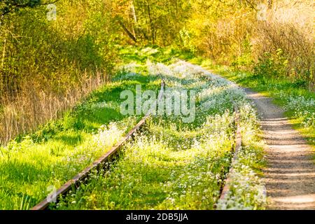 Rotaie fuori ordine con fiori Foto Stock