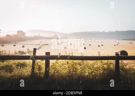 Campo agricolo con balle di insilato al mattino autunnale pazzesco a Shropshire, Regno Unito Foto Stock